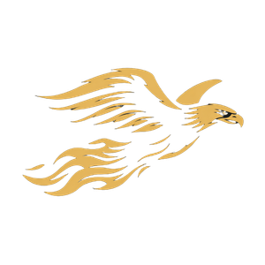 Golden Hawks Flight V2 Vinyl Car Decal Sticker – Waterproof & UV-Resistant 3.4133333333333336"