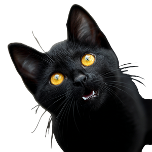 Smiling Black Cat V3 Vinyl Car Decal Sticker – Waterproof & UV-Resistant 3.4133333333333336"