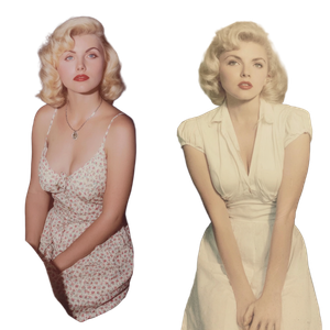 Debbie Harry Housewife Vinyl Car Decal Sticker – Waterproof & UV-Resistant 3.4133333333333336"