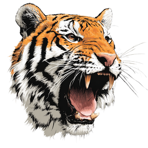Roaring Tiger Head V10 Vinyl Car Decal Sticker – Waterproof & UV-Resistant 3.4133333333333336"