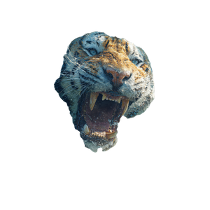 Tiger Wave Surfer Vinyl Car Decal Sticker – Waterproof & UV-Resistant 6.826666666666667"