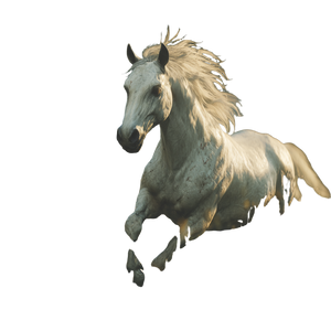 Majestic White Horse V23 Vinyl Car Decal Sticker – Waterproof & UV-Resistant 6.826666666666667"