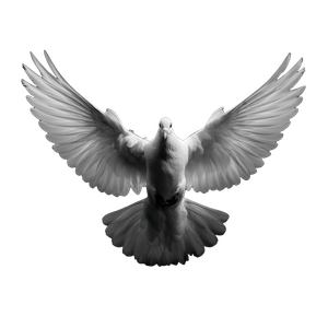 Headless Dove Vinyl Car Decal Sticker – Waterproof & UV-Resistant 6.826666666666667"