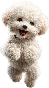 Cute Toy Poodle V3 Vinyl Car Decal Sticker – Waterproof & UV-Resistant 4.8533333333333335"