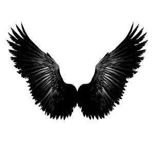 Wings Silhouette V2 Vinyl Car Decal Sticker – Waterproof & UV-Resistant 6.826666666666667"