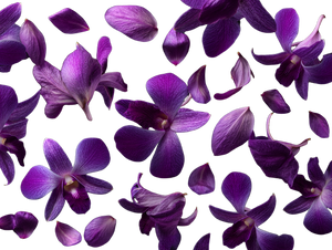 Floating Orchid Petals Vinyl Car Decal Sticker – Waterproof & UV-Resistant 6.1866666666666665"