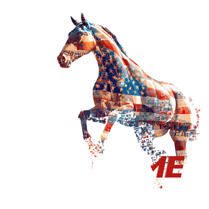 Patriotic Cartoon Horse Vinyl Car Decal Sticker – Waterproof & UV-Resistant 3.4133333333333336"