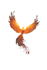 Flame Phoenix V5 Vinyl Car Decal Sticker – Waterproof & UV-Resistant 8.96"