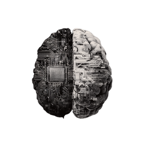 Digital Brain Os Vinyl Car Decal Sticker – Waterproof & UV-Resistant 3.4133333333333336"