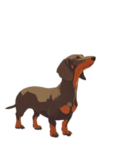 Dachshund In Autumn V2 Vinyl Car Decal Sticker – Waterproof & UV-Resistant 8.213333333333333"