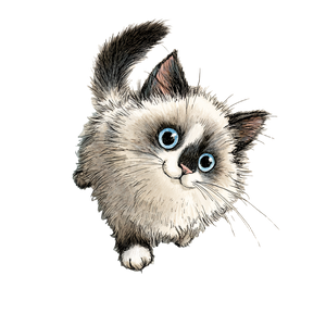 Ragdoll Kitten Art Vinyl Car Decal Sticker – Waterproof & UV-Resistant 3.4133333333333336"