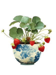 Strawberry Plant Art Vinyl Car Decal Sticker – Waterproof & UV-Resistant 4.1066666666666665"
