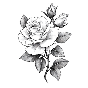 Rose Line Drawing Vinyl Car Decal Sticker – Waterproof & UV-Resistant 3.4133333333333336"