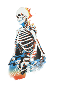 Flaming Skeleton V3 Vinyl Car Decal Sticker – Waterproof & UV-Resistant 8.96"