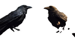 Majestic Raven Transformation Vinyl Car Decal Sticker – Waterproof & UV-Resistant 2.72"