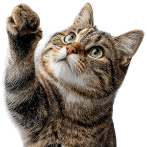 Upright Pointing Cat Vinyl Car Decal Sticker – Waterproof & UV-Resistant 3.4133333333333336"