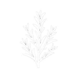 Rosemary Icon Vinyl Car Decal Sticker – Waterproof & UV-Resistant 6.826666666666667"