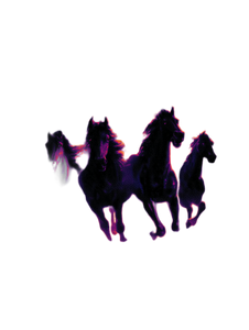 Neon Galloping Horses Vinyl Car Decal Sticker – Waterproof & UV-Resistant 8.213333333333333"