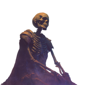 Fantasy Skeleton Illustration V2 Vinyl Car Decal Sticker – Waterproof & UV-Resistant 3.4133333333333336"