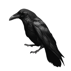 Raven On Angel Vinyl Car Decal Sticker – Waterproof & UV-Resistant 3.4133333333333336"