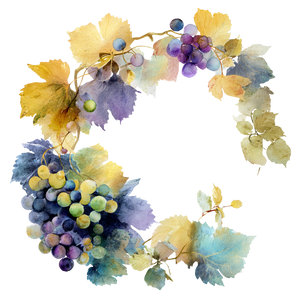 Watercolor Fruit Circle V2 Vinyl Car Decal Sticker – Waterproof & UV-Resistant 6.826666666666667"