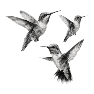 Three Hummingbirds Flying Vinyl Car Decal Sticker – Waterproof & UV-Resistant 3.4133333333333336"