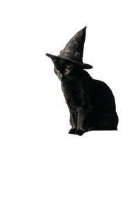 Witch Cat Painting V3 Vinyl Car Decal Sticker – Waterproof & UV-Resistant 4.4
