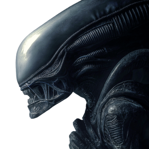 Xenomorph Alien Horror Vinyl Car Decal Sticker – Waterproof & UV-Resistant 6.826666666666667"
