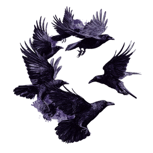 Raven Formation Seven Vinyl Car Decal Sticker – Waterproof & UV-Resistant 6.826666666666667"