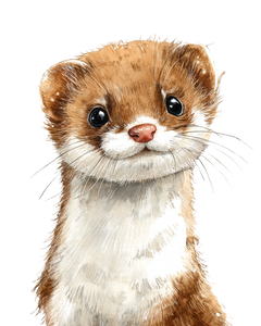 Cute Weasel Clipart Vinyl Car Decal Sticker – Waterproof & UV-Resistant 4.0"