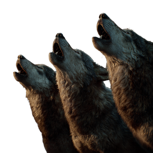 Three Howling Wolves Vinyl Car Decal Sticker – Waterproof & UV-Resistant 3.4133333333333336" Three Howling Wolves Vinyl Car Decal Sticker – Waterproof & UV-Resistant 3.4133333333333336"