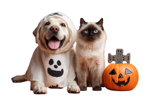 Halloween Pet Costumes V2 Vinyl Car Decal Sticker – Waterproof & UV-Resistant 5.97333333333333