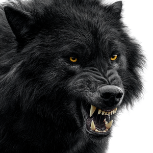 Fierce Black Wolf V7 Vinyl Car Decal Sticker – Waterproof & UV-Resistant 3.4133333333333336"