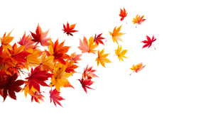 Flying Maple Leaves Vinyl Car Decal Sticker – Waterproof & UV-Resistant 2.72"