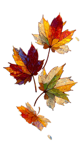 Floating Autumn Leaves V2 Vinyl Car Decal Sticker – Waterproof & UV-Resistant 9.706666666666667"