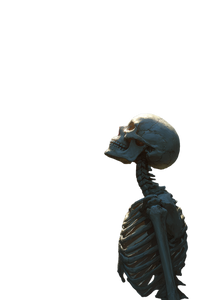Skeleton Gazing Upward Vinyl Car Decal Sticker – Waterproof & UV-Resistant 4.4