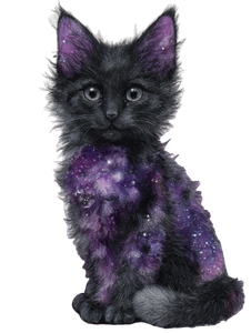 Cosmic Cat Illustration Vinyl Car Decal Sticker – Waterproof & UV-Resistant 4.1066666666666665"