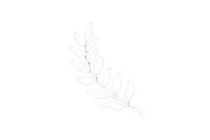 Olive Branch Logo V3 Vinyl Car Decal Sticker – Waterproof & UV-Resistant 2.986666666666667"