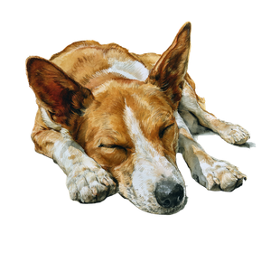 Sleeping Dog V7 Vinyl Car Decal Sticker – Waterproof & UV-Resistant 3.4133333333333336"