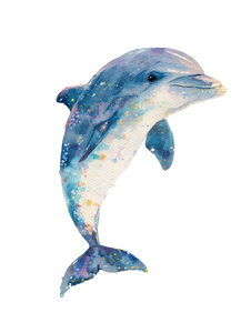 Playful Watercolor Dolphin Vinyl Car Decal Sticker – Waterproof & UV-Resistant 4.1066666666666665"