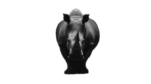 Enormous Rhinoceros Vinyl Car Decal Sticker – Waterproof & UV-Resistant 2.72"