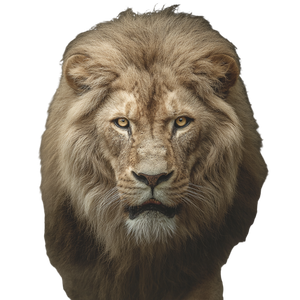 Fierce Lion V9 Vinyl Car Decal Sticker – Waterproof & UV-Resistant 3.4133333333333336"