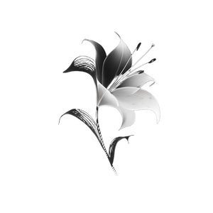 Lily Flower Outline Vinyl Car Decal Sticker – Waterproof & UV-Resistant 6.826666666666667"