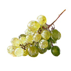 Clear Grapes Vinyl Car Decal Sticker – Waterproof & UV-Resistant 3.4133333333333336"