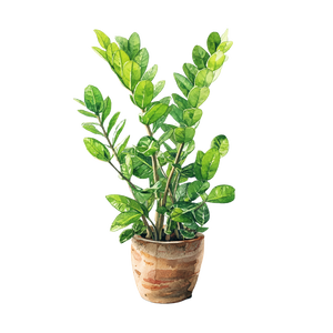 Zz Plant Watercolor Vinyl Car Decal Sticker – Waterproof & UV-Resistant 3.4133333333333336"