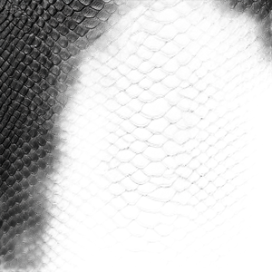 Snakeskin Texture Vinyl Car Decal Sticker – Waterproof & UV-Resistant 3.4133333333333336"