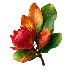 Leaf Cluster Vinyl Car Decal Sticker – Waterproof & UV-Resistant 6.826666666666667"
