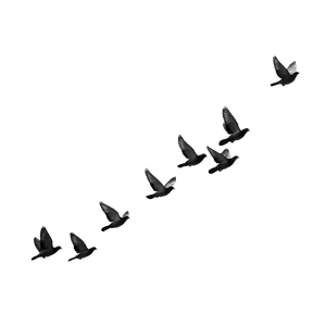 Flying Bird Flock V2 Vinyl Car Decal Sticker – Waterproof & UV-Resistant 3.4133333333333336"