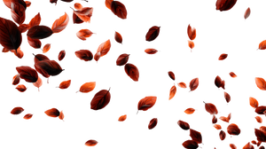 Stylized Falling Leaves Vinyl Car Decal Sticker – Waterproof & UV-Resistant 5.4