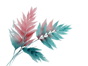 Watercolor Fern Leaves Vinyl Car Decal Sticker – Waterproof & UV-Resistant 3.0933333333333333"